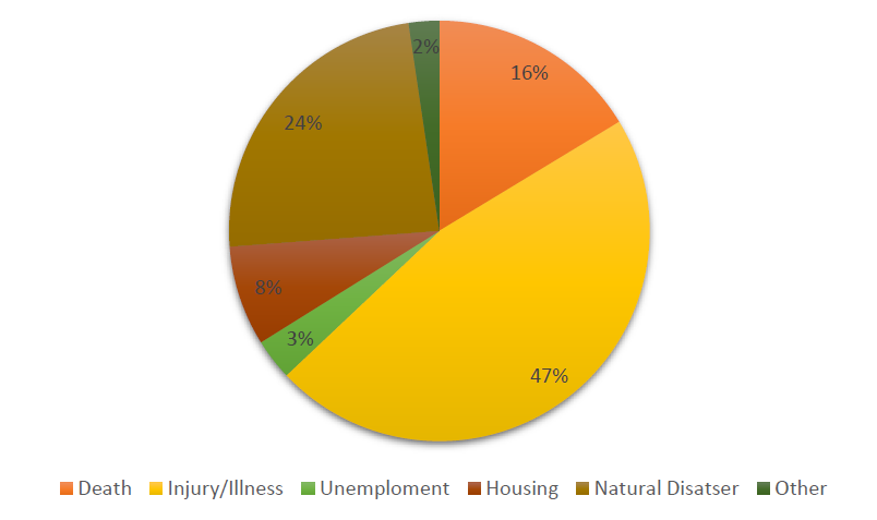 Pie Chart