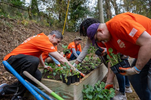 THDF Approved Team Depot Content 13 2